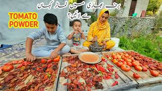 How to Make Tomato Powder  Dried Tomato Powder  Daily Lifestyle Vlog  Vlogs New Video [upl. by Nilpik]