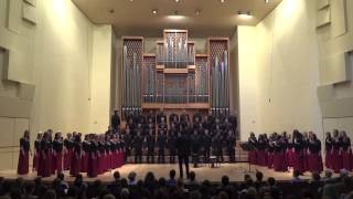 Man in the Mirror  Stellenbosch University Choir [upl. by Novyart]