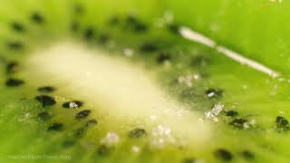 Sugar Crystals rains on the ripe green kiwi macro shot footage [upl. by Lauer]