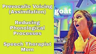 Prevocalic Voicing Phonological Process Assimilation Practice Exercises with Mrs G [upl. by Terrena]