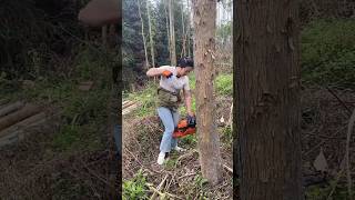 Forest Adventure Thrilling moments of unprotected logging [upl. by Yelwar]