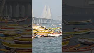 Bandra Worli sea link 😍 bandra worlisealink mumbai worli trending ytshortsindia [upl. by Ahtar]