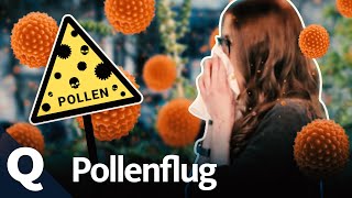 Weshalb Pollen nun länger und stärker fliegen  Quarks [upl. by Skyler]