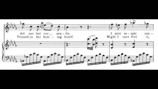 Una furtiva lagrima Lelisir damore  G Donizetti Score Animation [upl. by Mccormac555]