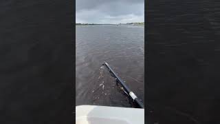 WATCH 👀 the Powerpole blade in action 🤯 [upl. by Teilo]