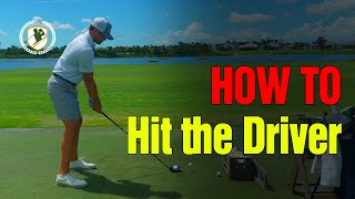 How To Hit the Driver For Beginners [upl. by Nilok]