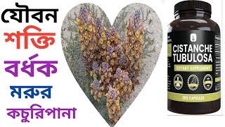 মরুভূমির কচুরিপানার পরিচয় ও উপকারিতা How To Grow Cistanche Tubulosa cistanche [upl. by Winchell]