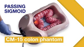 Basic Techniques of Colonoscope Insertion Ex3 Passing sigmoid colon without abdominal compression [upl. by Merrielle]