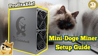 Goldshell Mini Doge Miner Setup Guide Mine Doge Coin  Litecoin [upl. by Laved]