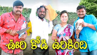 ఉరికోడి వురికింది  195  విలాజ్ కామెడి  UltimateVillage Comedy  By Mana PalleMuchatlu [upl. by Onilecram]