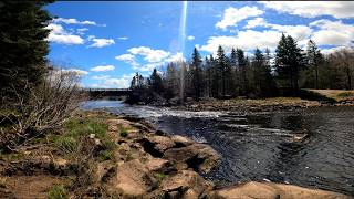 Wild Brook Trout Of The Musquodoboit River  Meaghers Grant Nova Scotia [upl. by Akehsat]