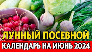 Когда сеять сажать в ИЮНЕ Лунный посевной календарь на июнь 2024 календарь огородника [upl. by Sparks]