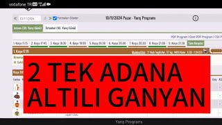 10 Kasım 2024 Pazar Adana At yarışı tahminleri Adana altılı ganyan tahminleri Oğulcan Karaca [upl. by Kennan529]