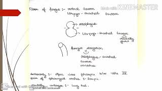 Respiratory System Embryology [upl. by Cacia583]