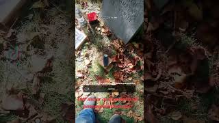 Paranormal portal EMF meter south glens falls cemetery south glens falls NY Stephen brummagyn grave [upl. by Swartz]