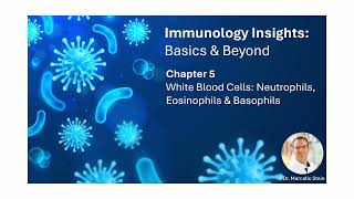 Chapter 5  White Blood Cells Neutrophils Eosinophils amp Basophils [upl. by Oster7]