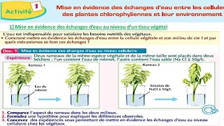 Mécanismes dabsorption de leau et des sels minéraux chez les plantes vertes شرح بالداريجة 1BAC [upl. by Eniaral120]