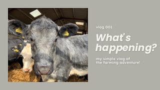 Whats Happening Vlog 001 [upl. by Nibroc]