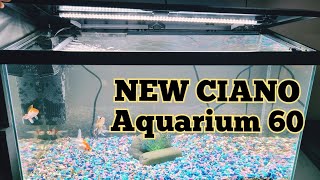 SET UP and STOCKED NEW AQUARIUM 60 LED LIGHTING SYSTEM [upl. by Vivianna]