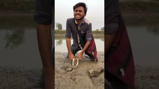 Daldal 🌾mein phns gya🙄 part 1 viralvideo 1billionviews trending shorts faisalcreationshorts [upl. by Mahgirb612]