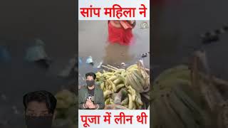 छठ पूजा के दौरान पानी में तैरते हुए आया सांप shorts chhathpuja [upl. by Prosser]