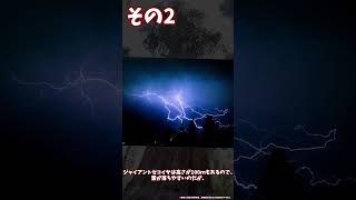 セコイヤが地球上最強生物な理由三選 【ゆっくり解説】 [upl. by Sabba]