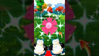 POKÉMON GO WILD AREA GLOBAL 😱 Costum Snorlax in ✨shiny Toxapex in pokemon go pokemon shiny [upl. by Naoh]