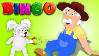 Bingo le chien  comptines  Chanson pour enfants  Bingo The Dog Song [upl. by Schnell481]