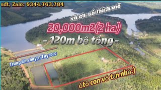 501 bán nhà đất cà phê sầu riêng huyện Tuy Đức view hồ ao tưới bao la nước 120m đường bê tông [upl. by Roach959]