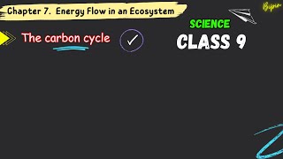 The carbon cycle  Chapter 7 Energy Flow in an Ecosystem  Carboncycle photosynthesis [upl. by Grinnell]