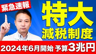 【注文住宅】住宅価格が激減！2024年から始まる減税制度を徹底解説します！ [upl. by Philis]