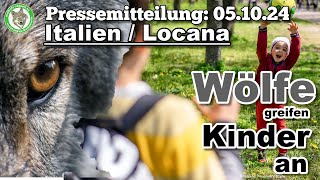 Wolfinfo Aktuell Pressemitteilung Italien Wölfe greifen Kinder an [upl. by Azaria789]