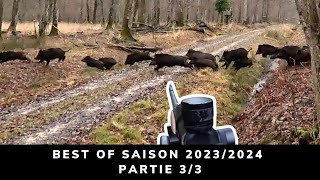 BEST OF 20232024  CHASSE AUX CERFS SANGLIERS CHEVREUILS ET PETIT GIBIER  33 [upl. by Melodie]