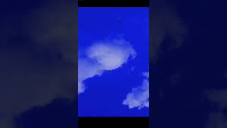 Clouds sky beauty attract to blackkite sky clouds followme shorts [upl. by Eenolem]