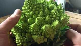 Trimming and preparing Romanesco [upl. by Briana]