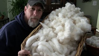 How Were Processing Our Home Grown Cotton [upl. by Rimisac]