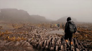 What I found on the top of Mount Roraima [upl. by Anyd]