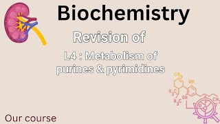 revision of L4bio  Metabolism of purines amp pyrimidines renal 42 [upl. by Suzette216]