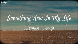 Stephen Bishop  Something New In My Life Official Lyric Video [upl. by Laurin]