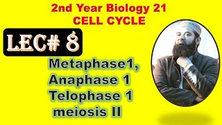 Metaphase 1  2nd year biology Lecture no 8 FSc [upl. by Althee963]