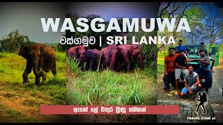 Wasgamuwa National Park Wild Safari  වස්ගමුව  Travel  Adventure  Elephants [upl. by Trilbi]