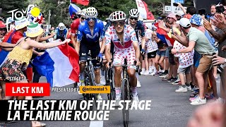 Last Km  Stage 20  Tour de France 2024 [upl. by Allerie57]