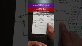 Epistaxis Hematemesis Hemoptysis Hematochezia Melena tcml shorts mbbs [upl. by Idnarb]