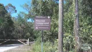 CampgroundViewscom  Pinecrest Campground Big Cypress National Preserve Ochopee Florida FL [upl. by Notirb765]