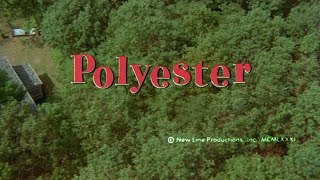 Polyester 1981 Theme Song amp Opening Credits HD [upl. by Carlin931]