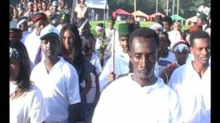 Hot New Oromo Song [upl. by Leupold141]