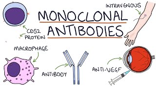 How do monoclonal antibodies work Rituximab infliximab adalimumab and others [upl. by Nanda]