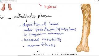 Systemic pathology 35  bone 5  osteodystrophies  DRSAMEH GHAZY [upl. by Waverley]