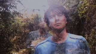 Panda Bear  playing the long game Official Video [upl. by Dnomsed]