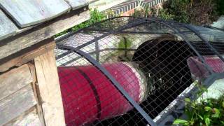 Archimedes Hydro Screw [upl. by Arrim]